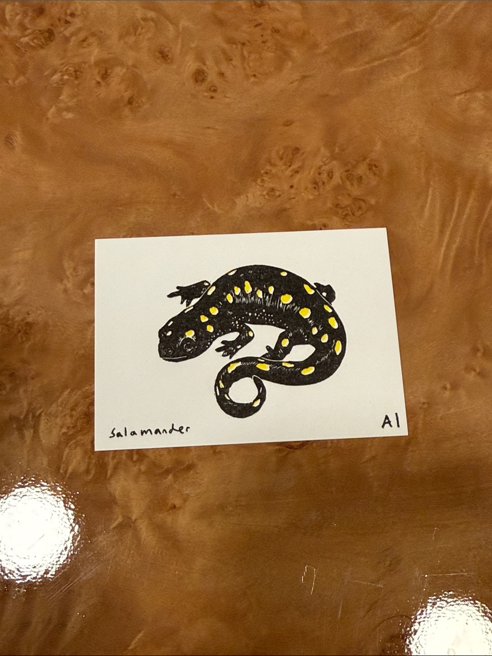 Inciardi Mini Print Salamander